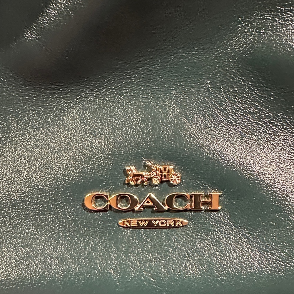 Coach Green Leather Evelyn Bag - Picture 2 of 8